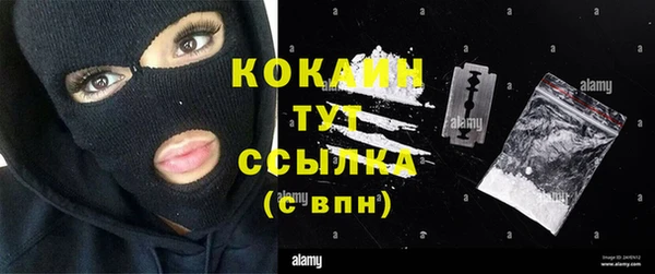 сатива Липки
