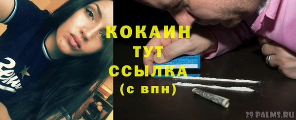 сатива Липки