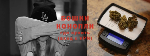 сатива Липки