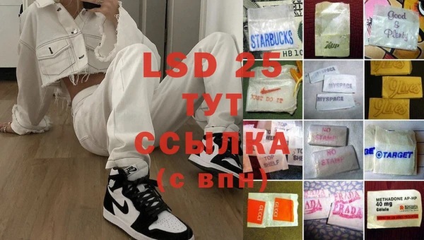 сатива Липки