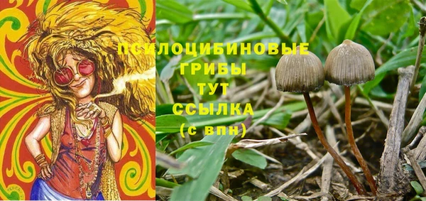2c-b Лиски